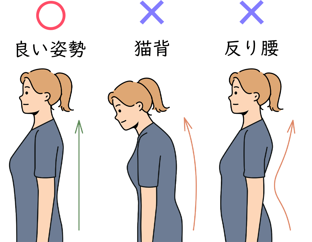正しい姿勢とゆがみを創る姿勢
