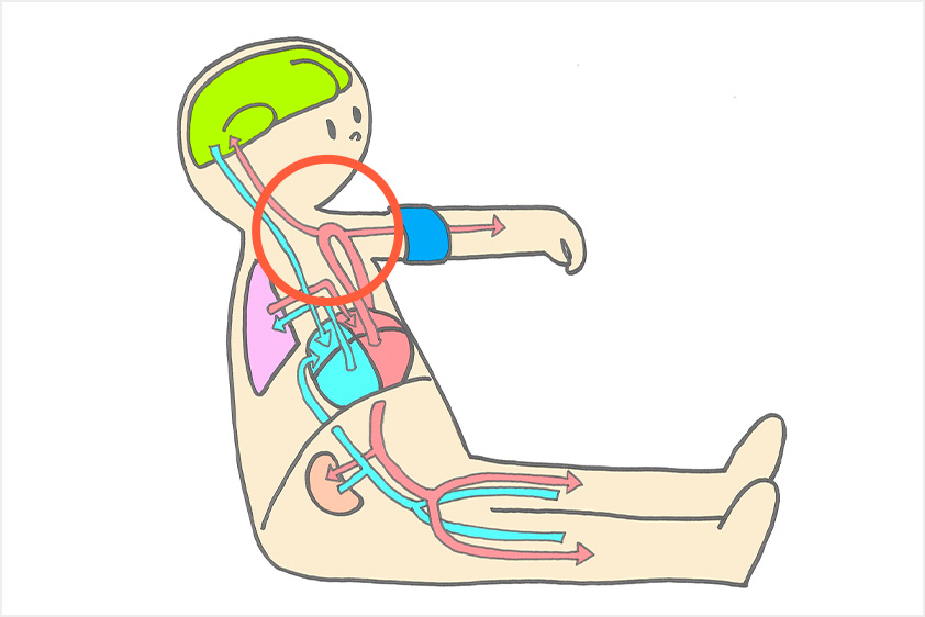 頭部への血流量の増加