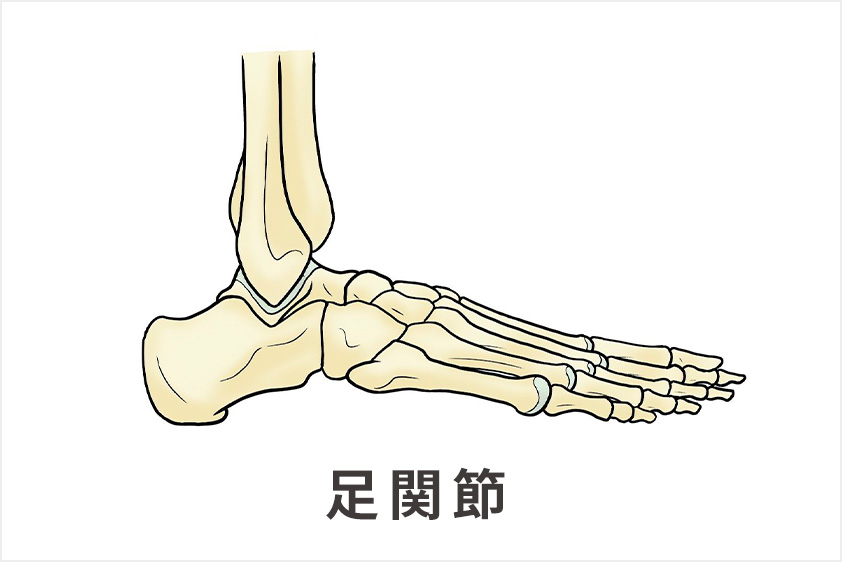 足関節